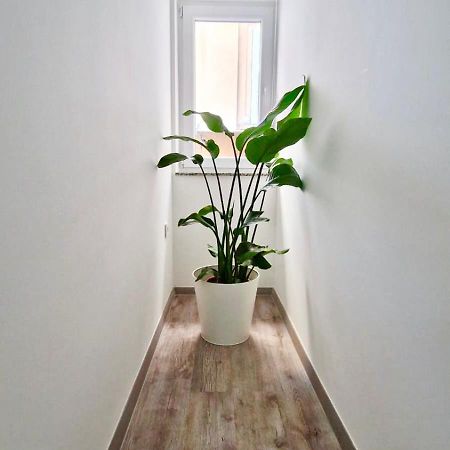 Ljubljana Central Cozy Apartment W Free Parking Buitenkant foto